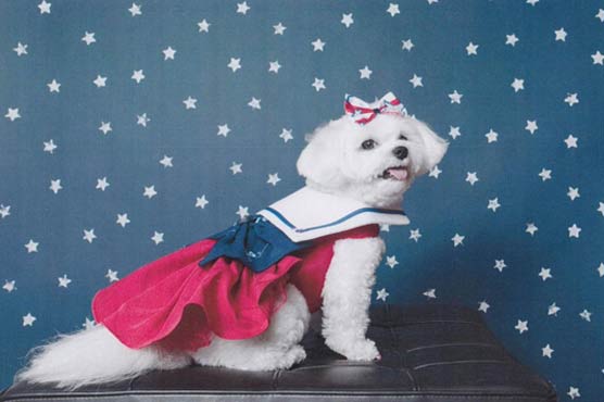 Woman leaves £1m fortune to her pet dog