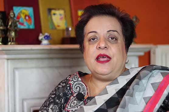 Shireen Mazari urges govt to hold talks before media
