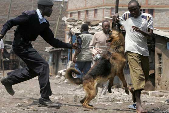 Kenya defends rights record at UN