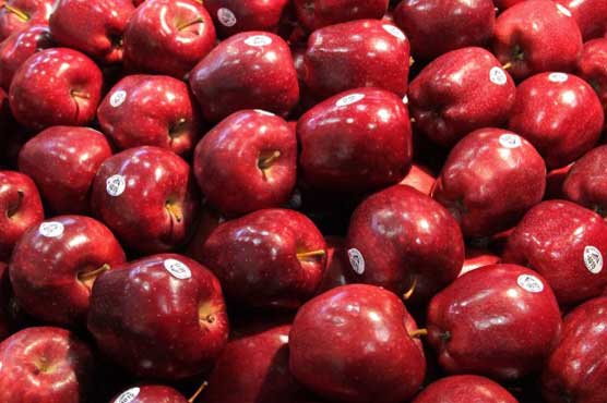 China moves to accept imports of all US apple varieties