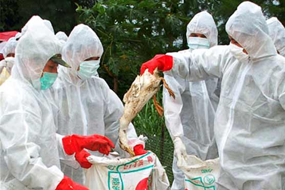 Bird flu case confirmed in North America