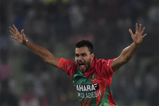 Tamed Tigers hope to bite at World Cup