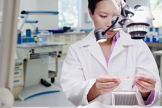 Spain uses stem cell therapy to treat damaged hearts