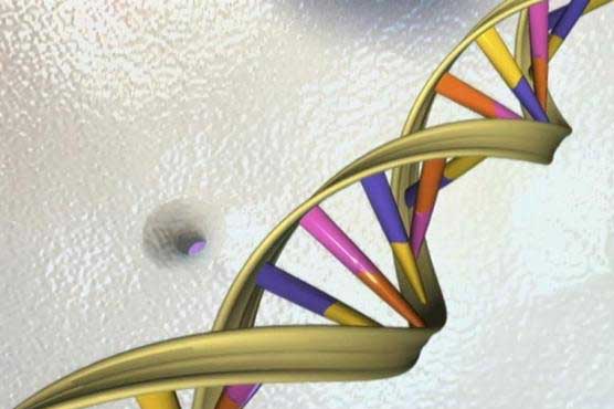  U.S. proposes effort to analyze DNA from 1 million people 