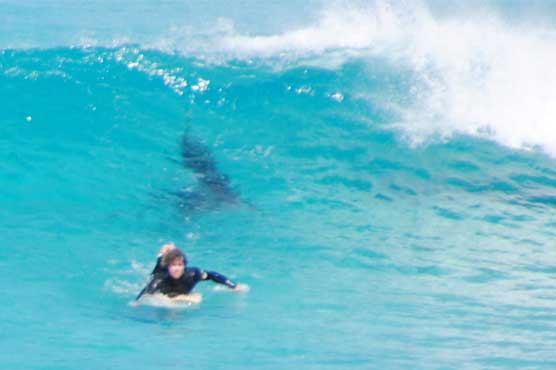 Another shark scare in Australia sees surf competition canned