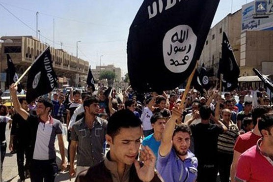 Hamas says claim it supported Sinai attacks 'propaganda'