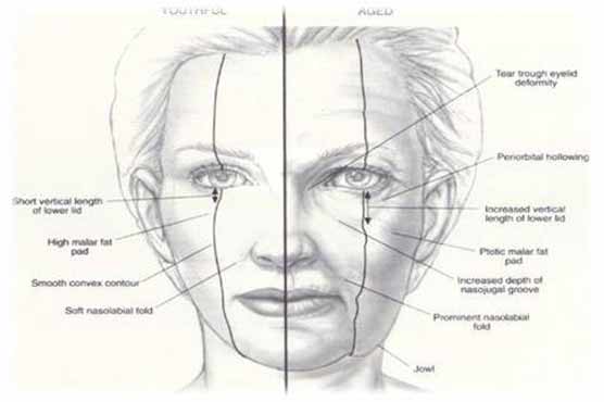 Signs of aging appear in mid-20s, study finds