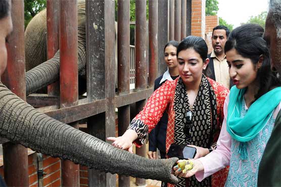 Asifa Bhutto visits zoo, rides on mini train
