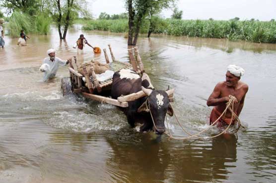 Several villages inundated in Narowal, 17 villages in Gujranwala given flood alerts