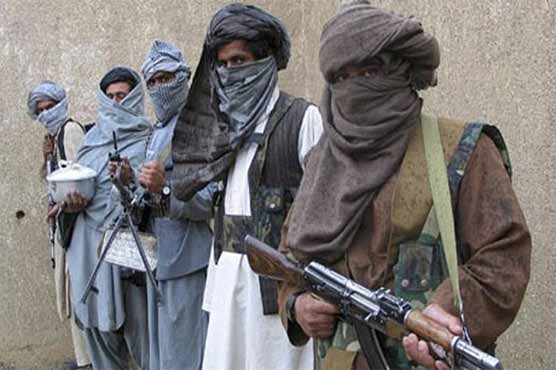 Doubts and divisions among commanders as Taliban talk peace