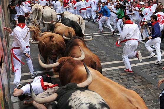 Frenchman gored to death in Spain bull race