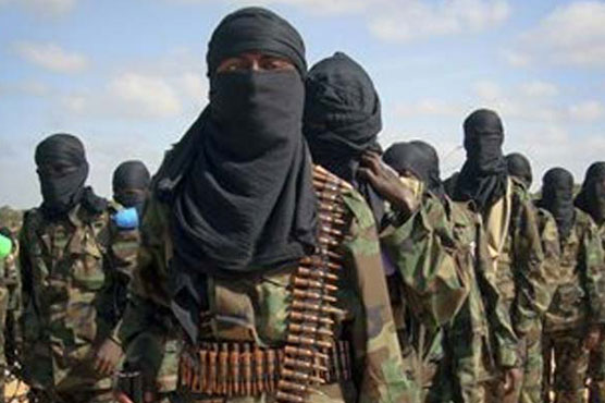 Air strike kills Shebab militants in Somalia 
