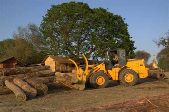 China ire as Myanmar jails scores for illegal logging