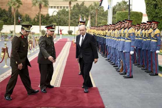 French defence minister visits Cairo after warplane deal