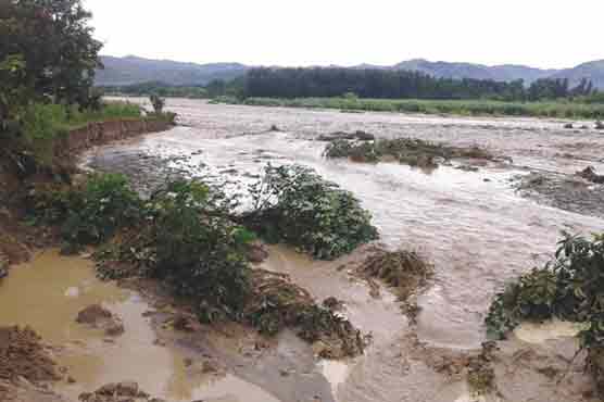 Five killed in rain-related mishaps in different areas of country