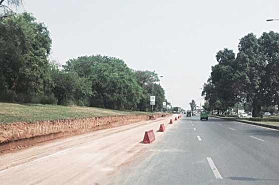 4000 trees uprooted within one year for development projects