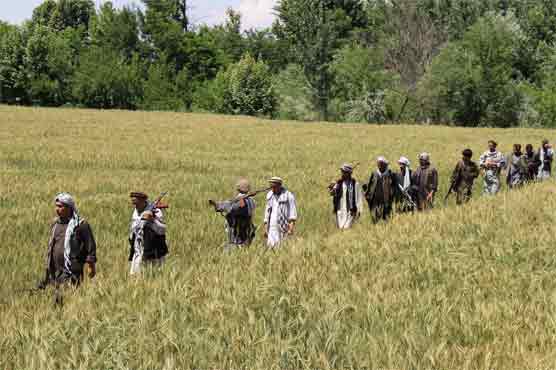 Afghanistan harnesses anti-Taliban militias as insurgency spreads