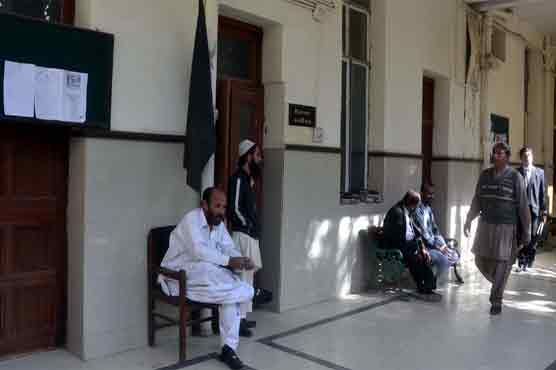 Lawyers boycott courts in protest against Mustang carnage