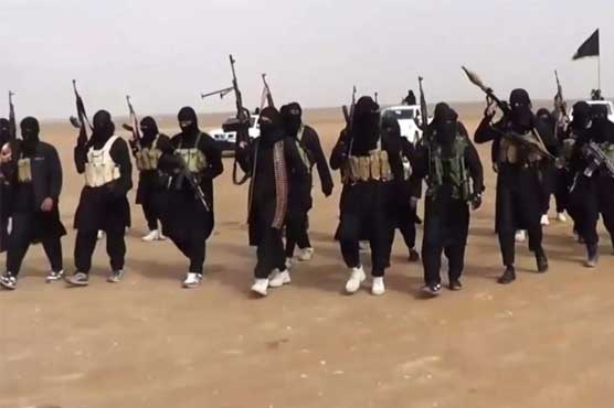 Majority of IS fighters foreign: Iraqi PM 