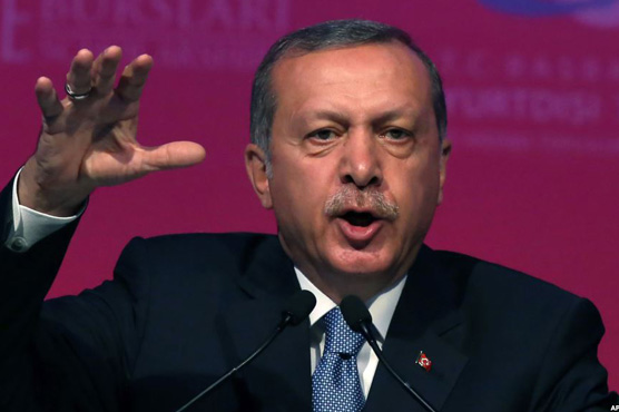 Turkey's Erdogan breaks silence to push for coalition government