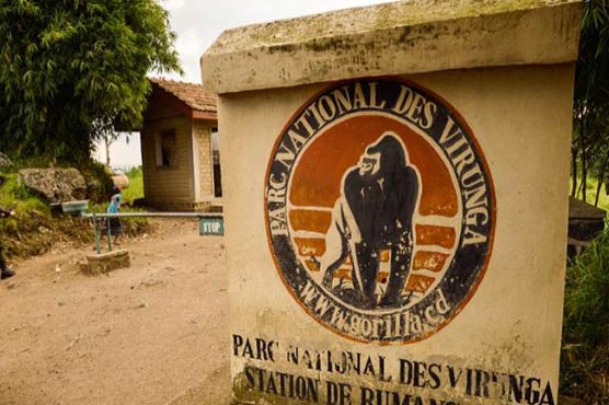 DR Congo opens probe after NGO accuses UK firm of bribery