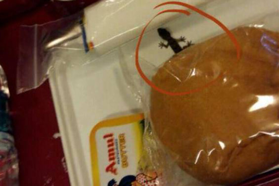 Air India red faced over lizard in in-flight meal