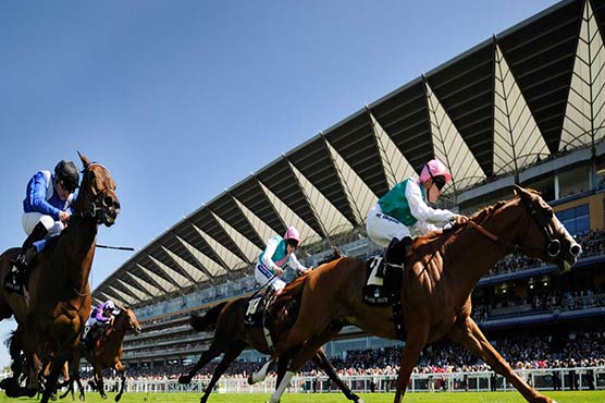 Racing: Money talks as Qatar joins British turf's big hitters