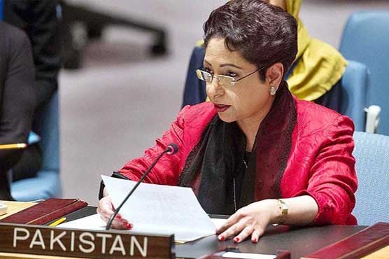 Any effort to destabilize Pakistan will be responded forcefully: Maleeha Lodhi 