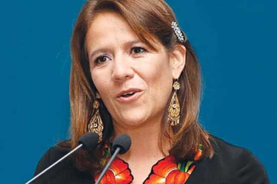 Wife of ex-Mexican president announces run for presidency