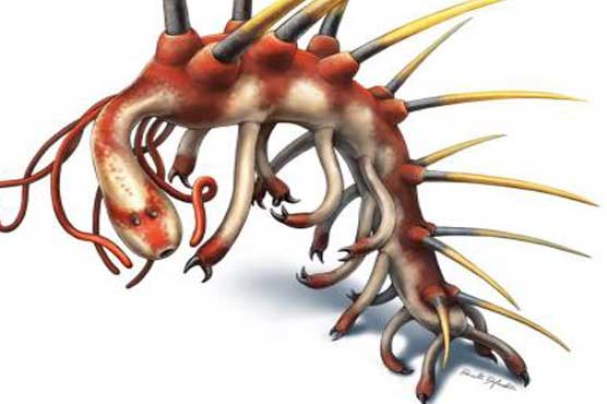 It's no hallucination, that creature is just really weird