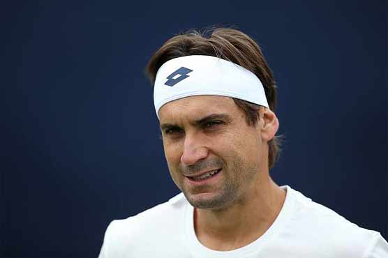 Tennis: Ferrer pulls out of Wimbledon