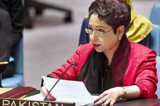 Maleeha Lodhi arrives in Islamabad as Pakistan mulls action against India in UN