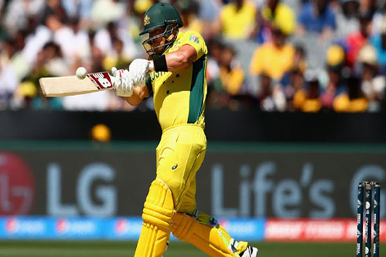 Australia bat against Afghanistan in World Cup