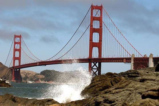 Bridge jumper claims sea lion saved him 