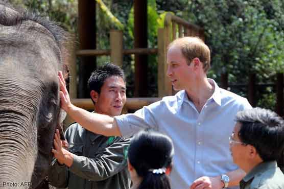 Prince William's wildlife speech draws online applause in China