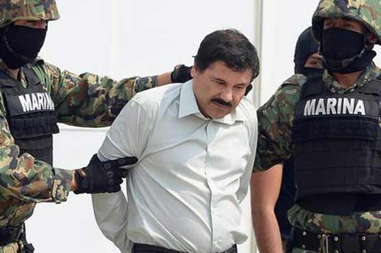 Mexican govt targets drug cartel big fish