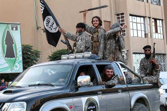 IS advances on strategic town in northeast Syria: monitor