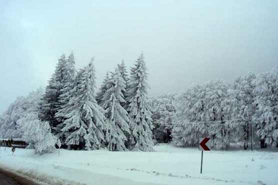 Bulgaria: Severe snowtorms claim 2 lives