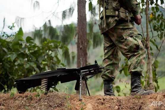 Colombia halts air raids on FARC in boost to peace drive