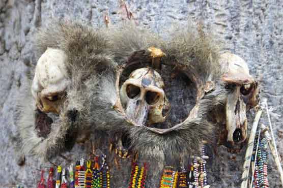 Hundreds of witchdoctors rounded up in Tanzania crackdown