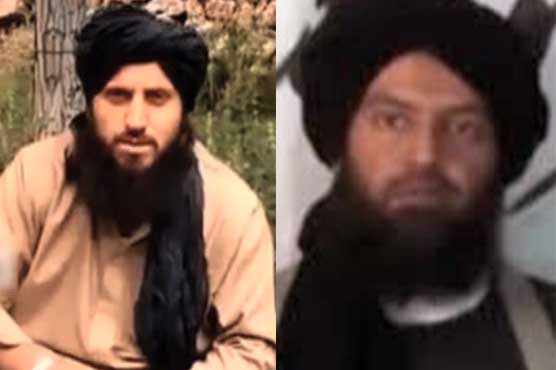 2 key Taliban commanders killed in Afghanistan