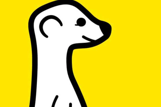 Live stream app Meerkat becomes twitter sensation