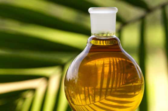 Post price-cut hoarding leads to cooking oil shortage in Punjab