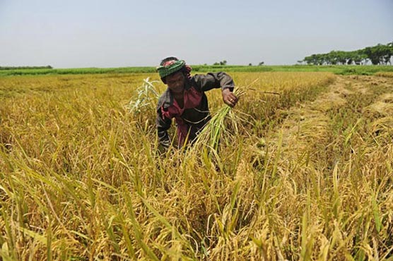 Bangladesh's poor suffer most as unrest hits economy