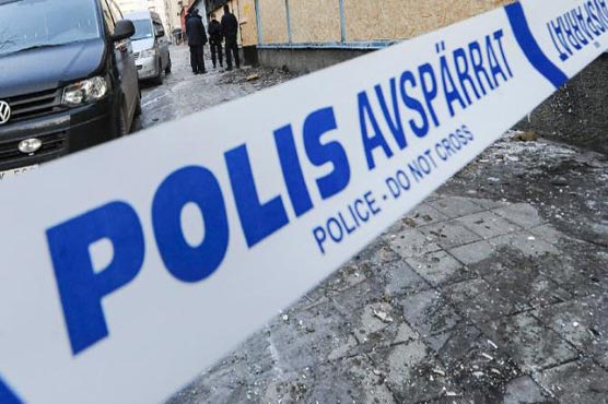 'Several fatalities' in Sweden pub shooting: police