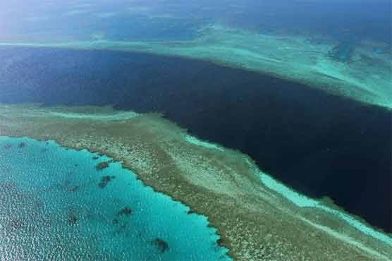 Plan ensures Great Barrier Reef future: Australia 