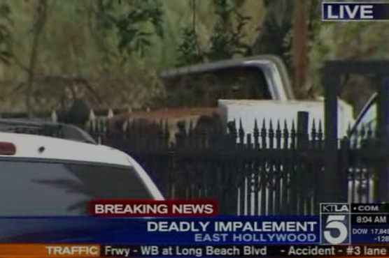 American man fatally impaled on fence after falling from tree
