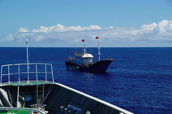 Chinese skipper avoids jail term in Japan coral poaching case