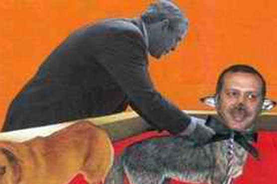 Turkish cartoonist fined for insulting Erdogan