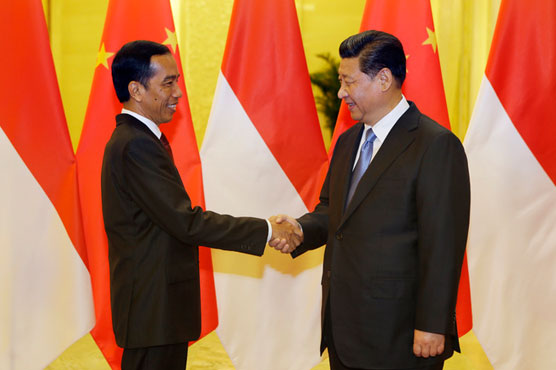 Indonesia's Widodo supports China-led investment bank